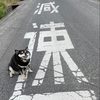 くりちゃん