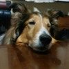 きよピラ