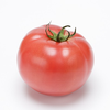🍅トマト☘️🐠