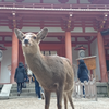 しか