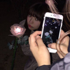 心菜