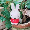 わかちゃん🍀