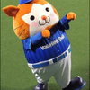 モンゴリアン⚾️🐱みれぃ公認MG
