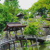 ばくの夢🦦