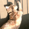 ゆーちゃん