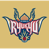 初年度からキングスCS皆勤賞🏀ꉂꉂ📣