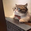 ねこゆめお
