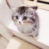 坂本猫馬◇⚾🐱