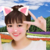 わかにゃん