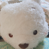つばさ