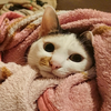 まみ💄