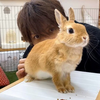 ユーザーアイコン