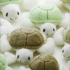 どん🐢