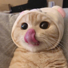 えびめろ！
