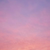 kassyかしお🦐🎻【のん応援団員】