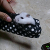 あいり