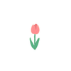 かりのん🌷🫧 ︎︎︎︎︎