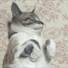 かずやん