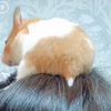 藤田ちーちゃん🥝💩