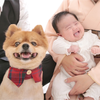 お#anna推し