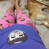 いずみ🐕🌸