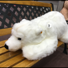 白くま🐻‍❄️🌙