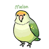 るはんdeこえびこ