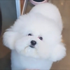 ひ