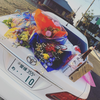 ニンニク10