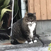 ファブ吉