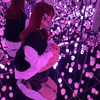 しーたん
