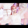 れ🐰