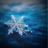知床❄️