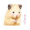 🥕🐰ＭＩ🐣ＳＡ🌸🐾🌹⭐️🥟