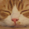 りょー