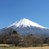 Newはっしー