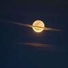 moon🧸🧵