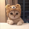 Qちゃん👶🩵MCI