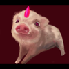鬼豚♂🥀🚭🐽ྀི
