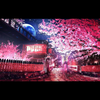 夜桜