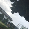 雨曇