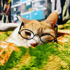 なお