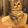 ユーザーアイコン