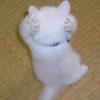 ユーザーアイコン