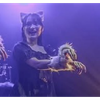 WAKAっち🐱🎼