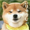 さとし