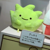 やまとなでしこ
