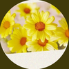 🌼💎ミソラ