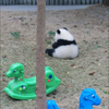 このか