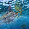 🏴‍☠️ mahi-mahi 🏴‍☠️